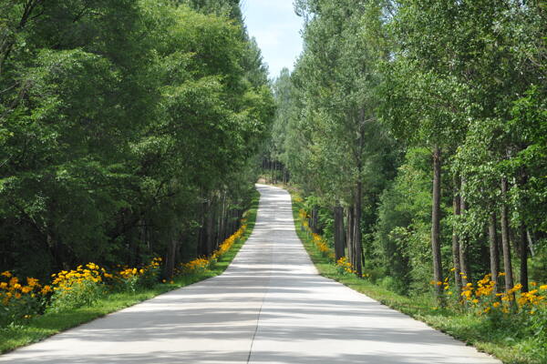 公路风景图片