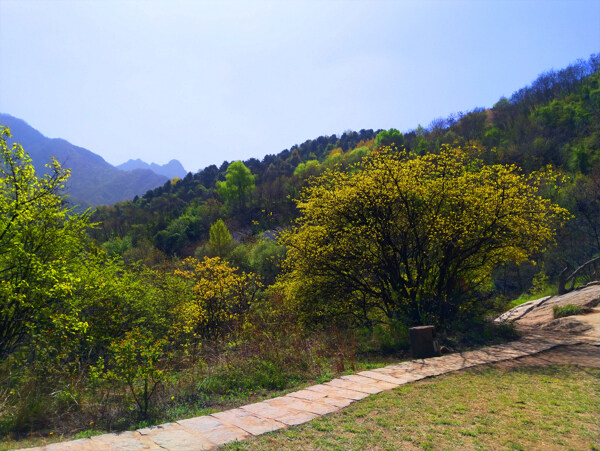 壮丽的大山风景