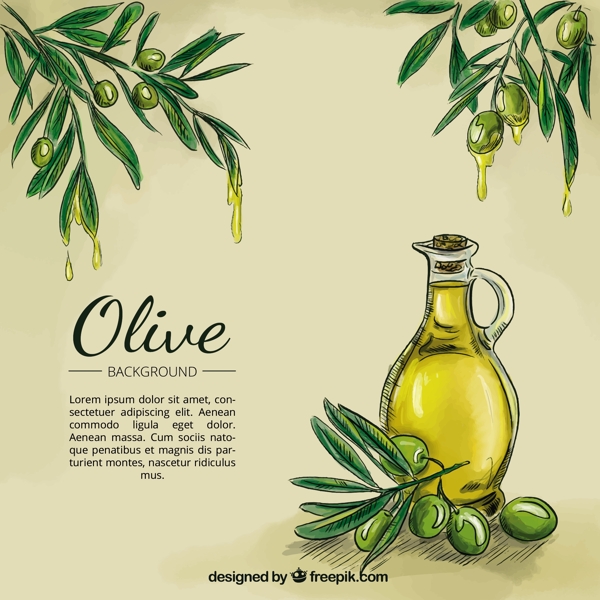 橄榄油素描背景