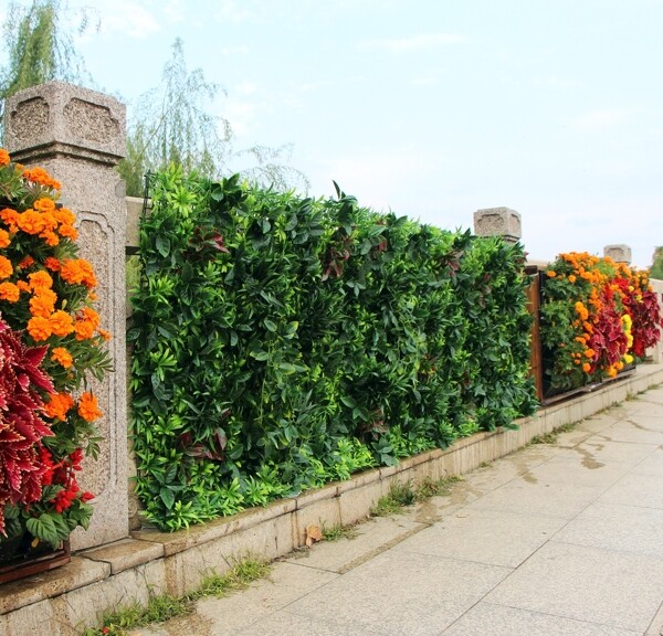装饰围墙的仿真植物墙