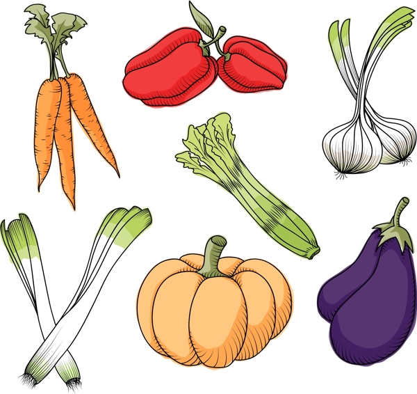 矢量彩色蔬菜元素