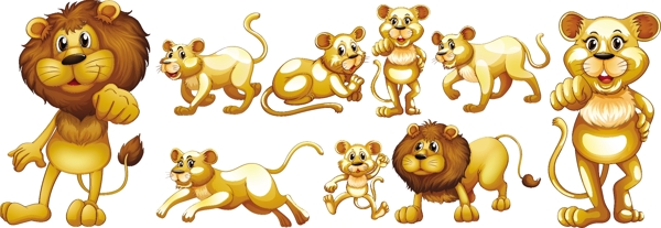 野生狮子插画系列