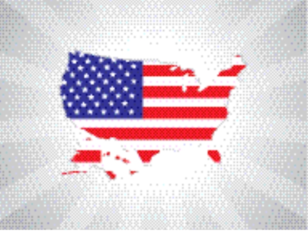 美国的国旗矢量地图插图