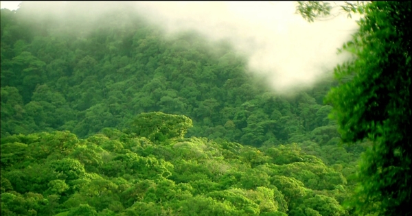 山间雾气