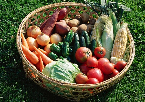 草地蔬菜篮图片