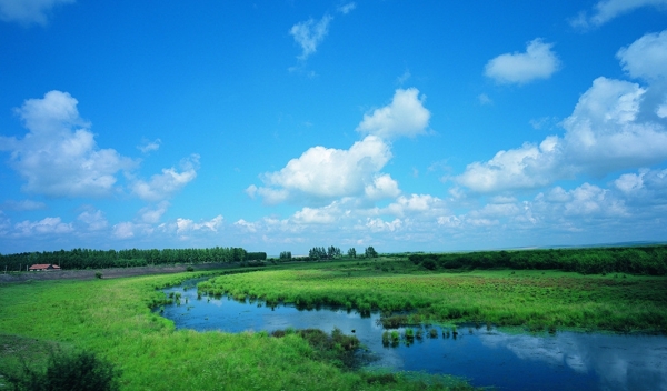 平原景致图片