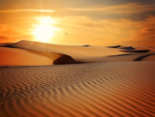 落日下的沙漠炎热