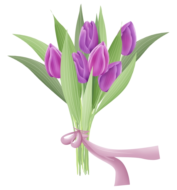 紫色郁金香花束