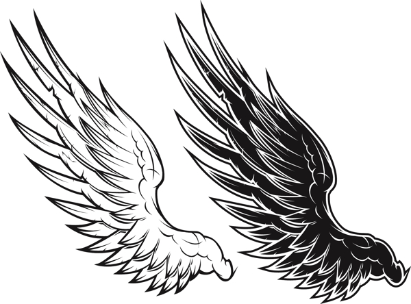 黑色和白色黑色和白色翅膀翅膀矢量矢量