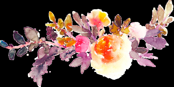 祝福贺卡花卉卡通透明装饰素材
