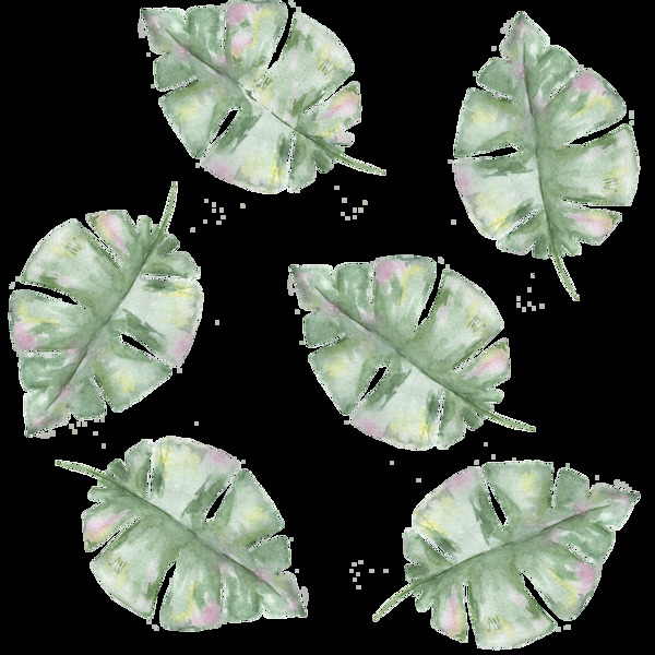 绿色手绘植物叶片透明素材