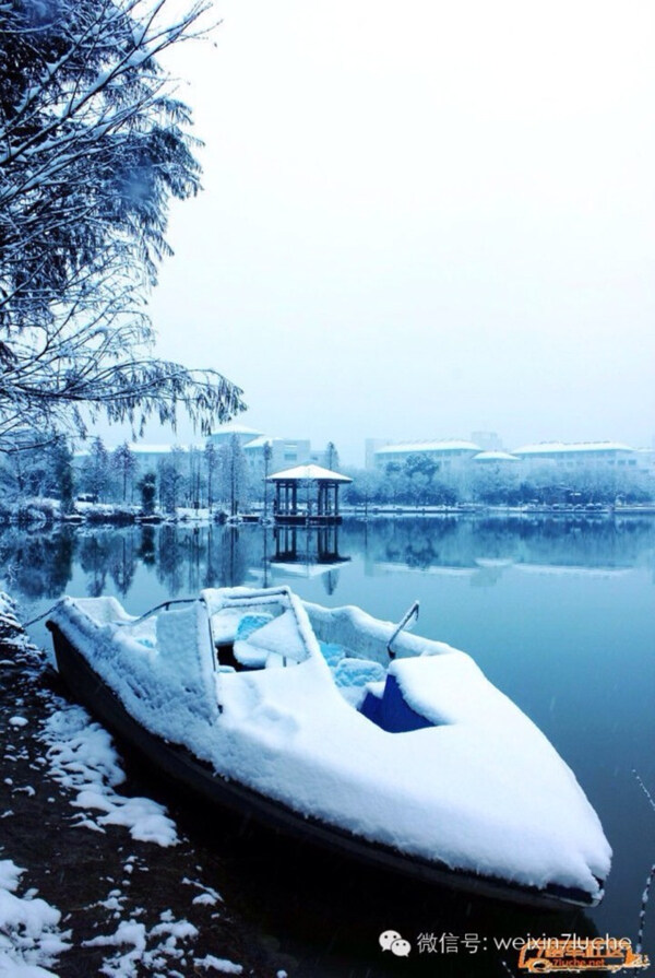 农林大学雪景图片