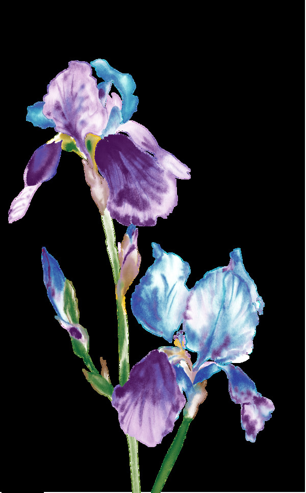 蓝紫色花朵装饰元素图片