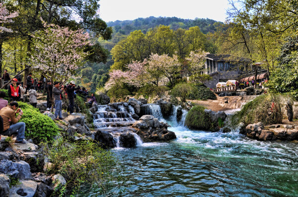 太子湾公园奔流溪水图片