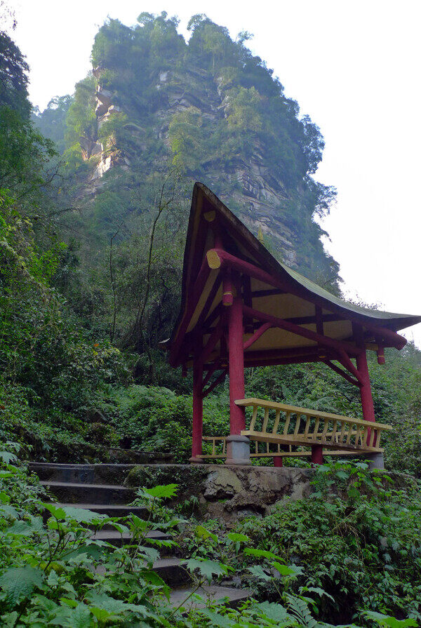 四川碧峰峡风景