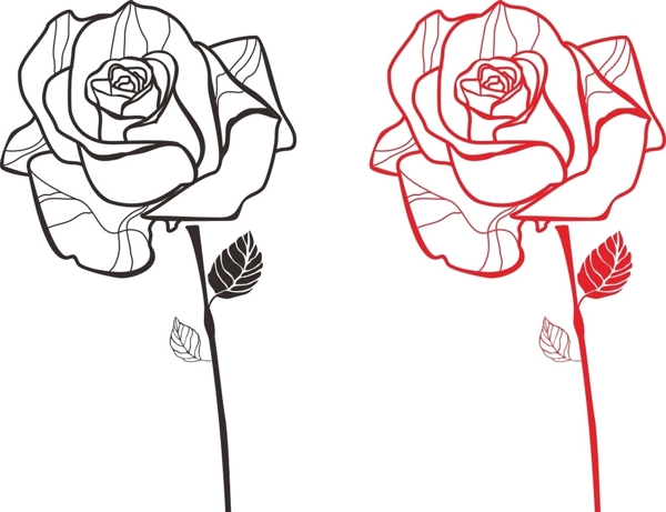 玫瑰花手绘矢量素材
