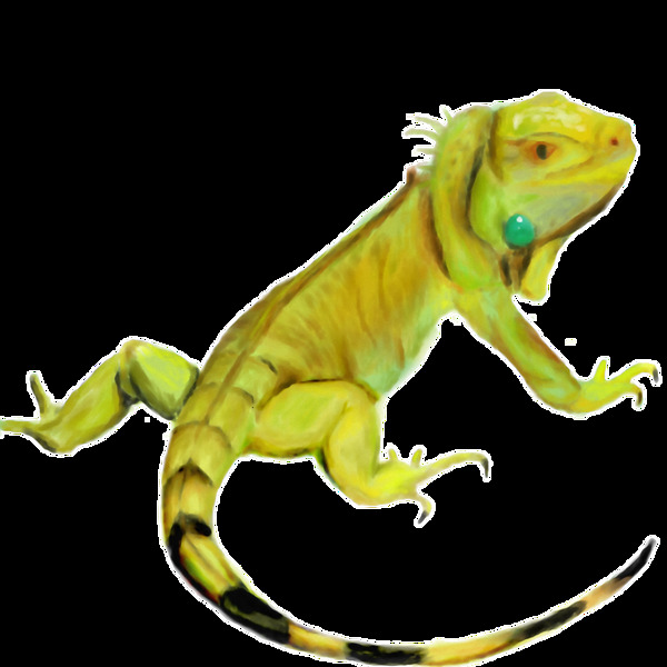 黄绿色的鬣鳞蜥免抠png透明素材