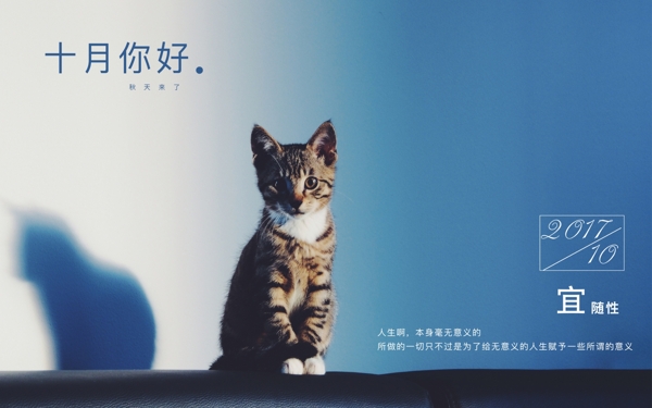猫咪十月你好日历海报唯美图片微信配图