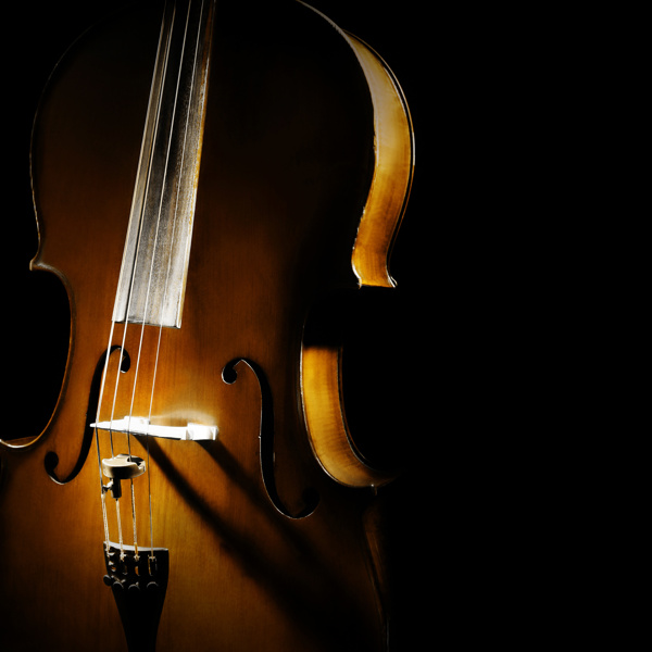黑夜中的小提琴图片