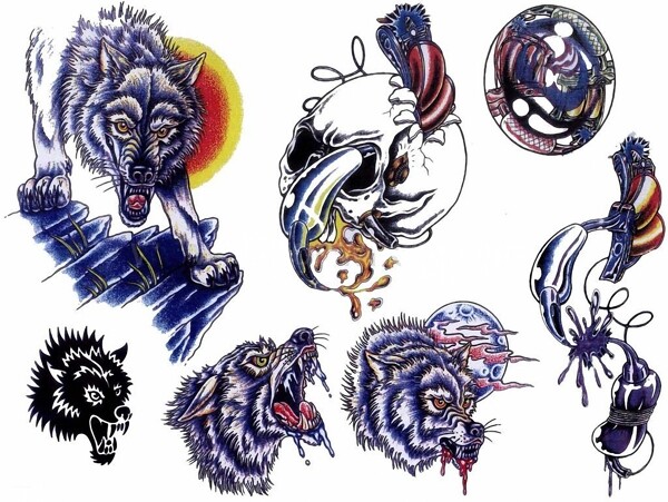 狼动物插图12