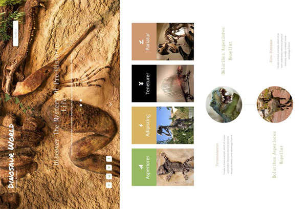 动物标本网站模板