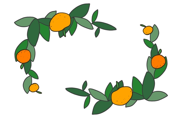 橙子植物装饰边框