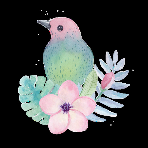 水彩鸟透明装饰图案