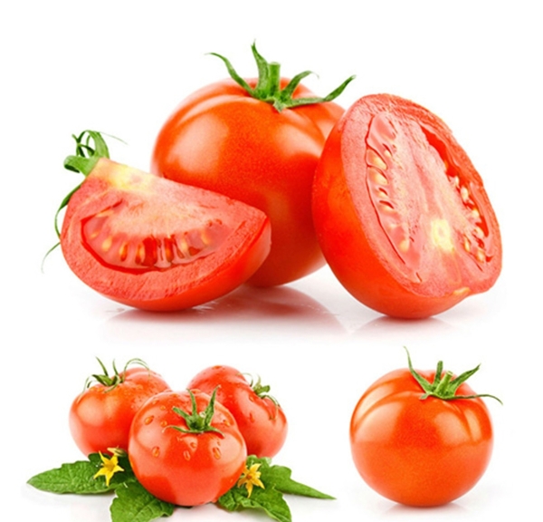 番茄高清素材