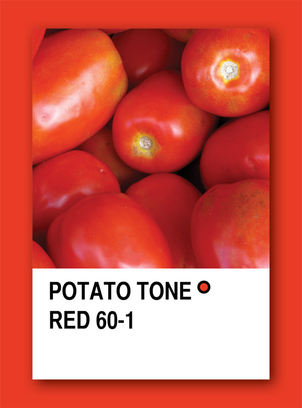 番茄色调红色颜色样本设计