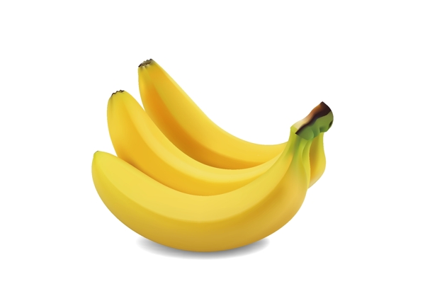 香蕉绘制矢量图