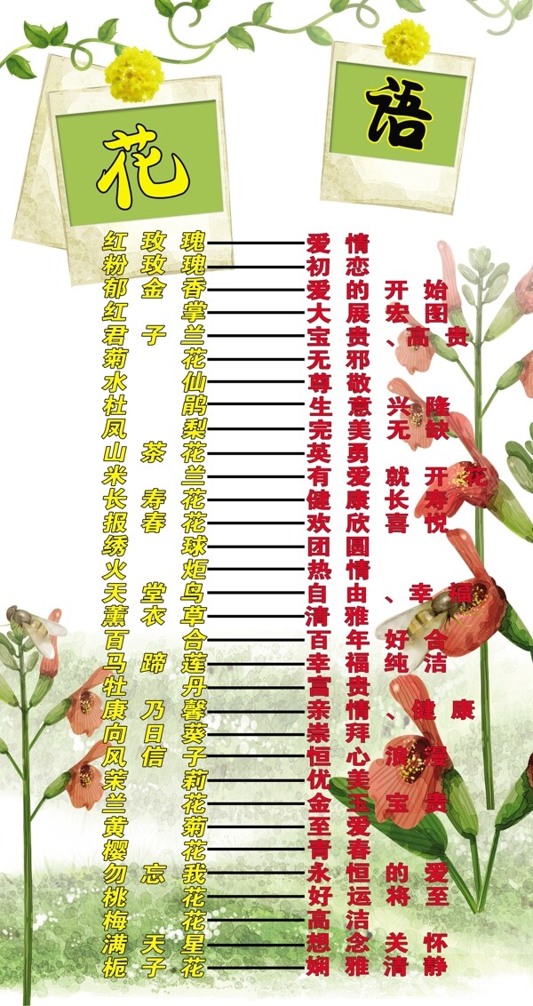 花语图片