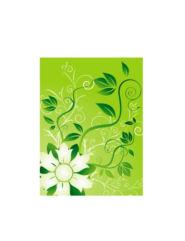 绿色花卉花藤背景