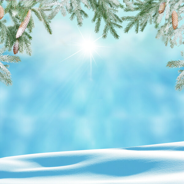 阳光与雪地背景图片