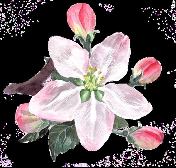 秀丽花卉卡通透明素材