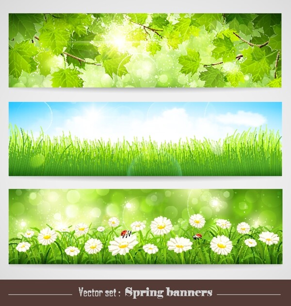 春天主题背景绿色春季背景图片