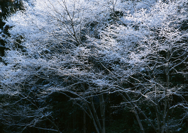 冬季风景