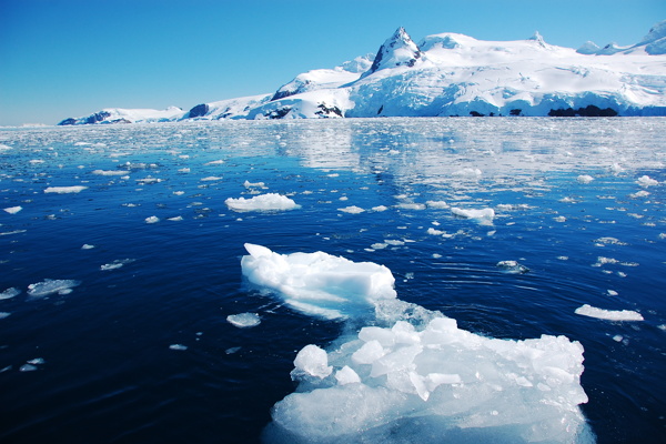 北极海面上的冰川图片
