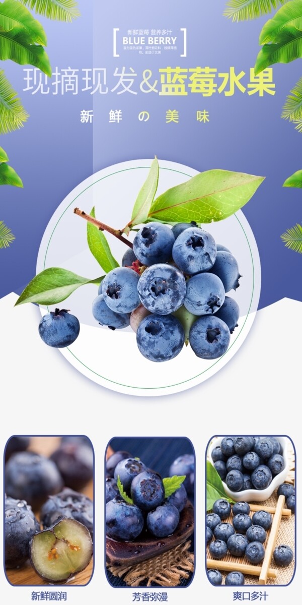电商淘宝水果生鲜蓝莓详情页