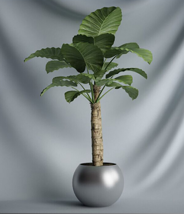 植物盆栽模型立体