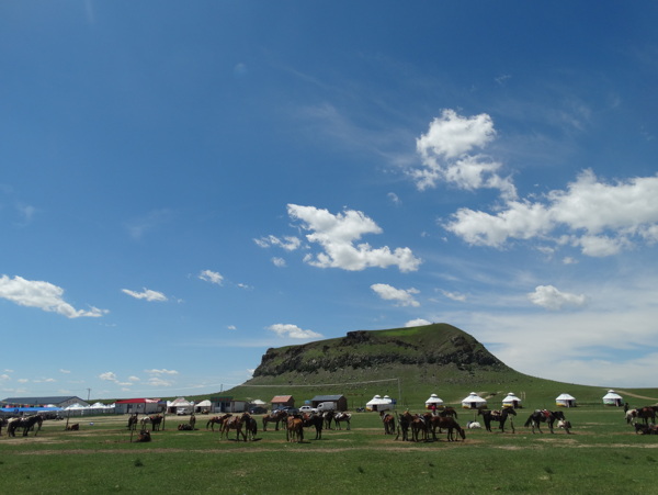草原旅游马群蒙古包图片