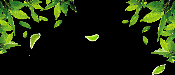 绿色树叶png装饰背景图