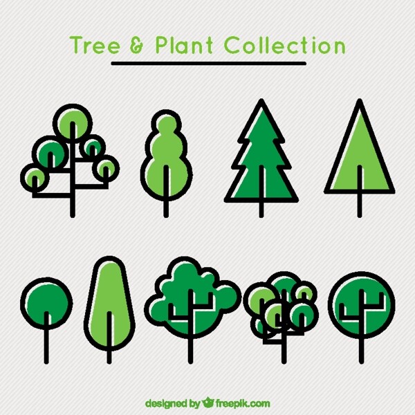 线性模式的树木和植物