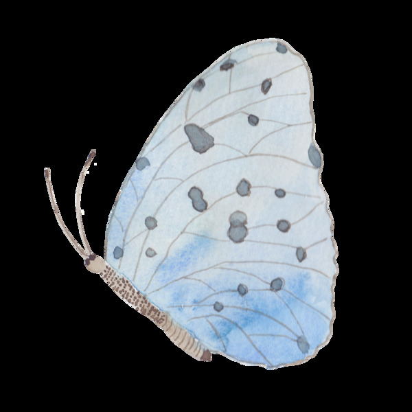 蓝色蝴蝶透明装饰图案