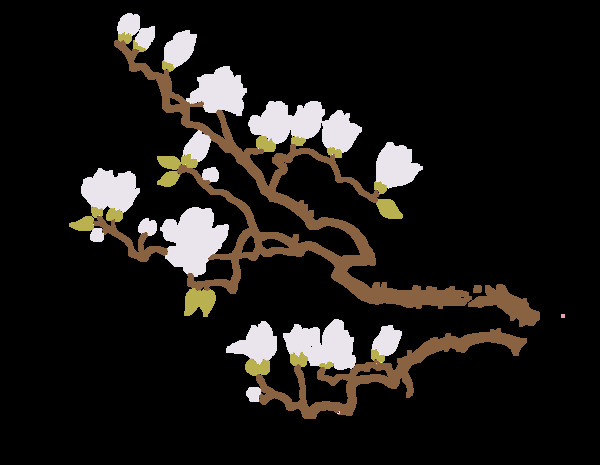 卡通白色鲜花树枝png元素