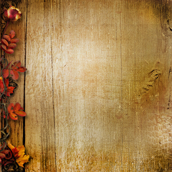 枫叶木板背景图片