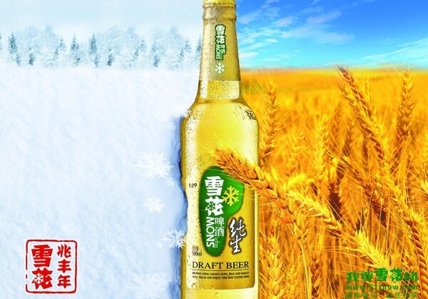 雪花啤酒图片