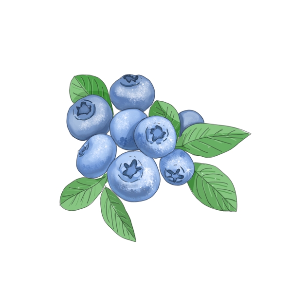 蓝色蓝莓