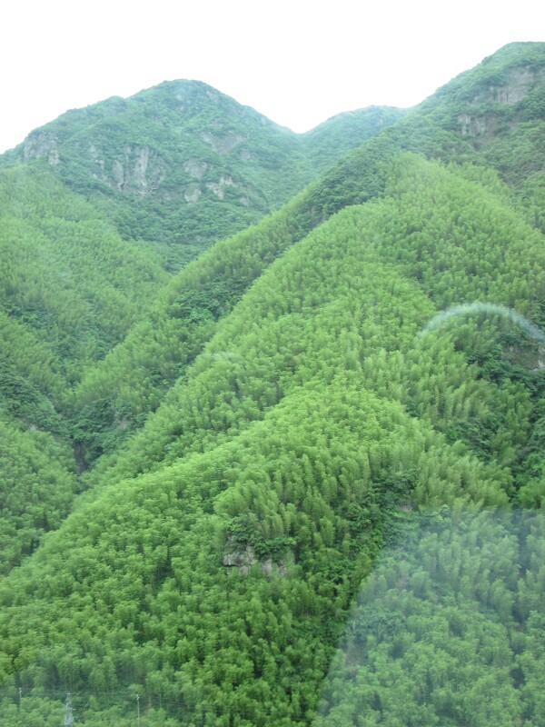 安吉竹山旅游风景图非高清图片