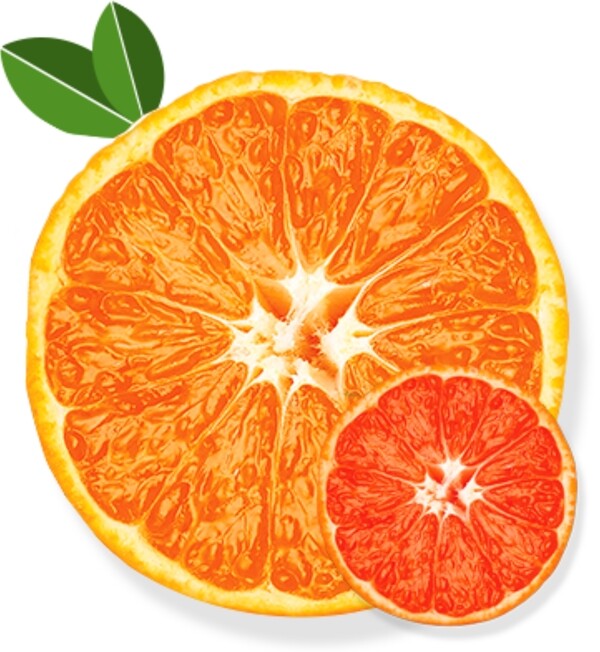 水嫩橙子横切图
