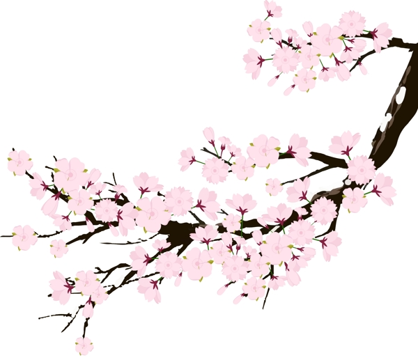 樱花粉色鲜花原创花朵AI矢量设计元素树枝
